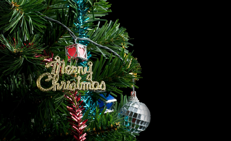 Guirlande extérieure pour sapin de Noël du jardin