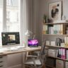 Design intérieur d’un bureau : quelles couleurs favorisent la concentration ?