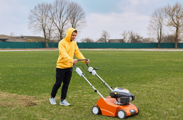 Le choix du gazon: quelle variété de pelouse pour quel usage