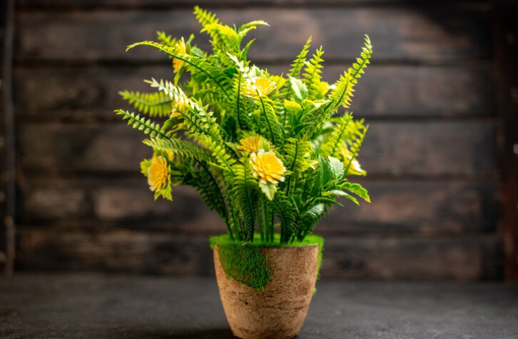 Végétaliser son mariage : décoration florale avec plantes en pot