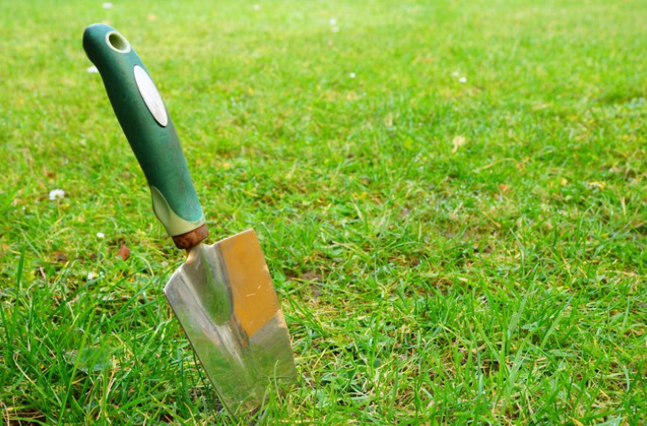 Recréer une pelouse sur un terrain abîmé: mission possible