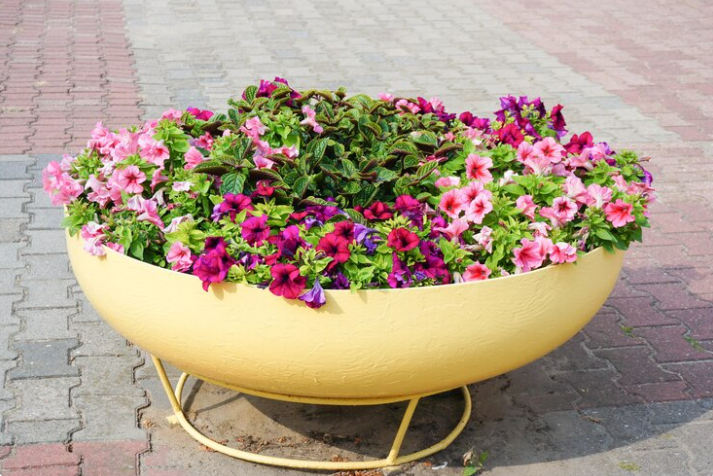 Le guide pour dessiner votre massif de fleurs comme un paysagiste