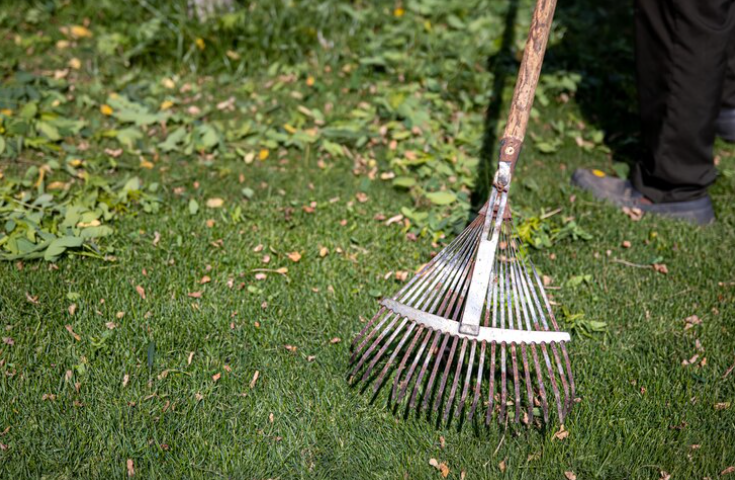 Scarification, aération, fertilisation: le rituel de printemps pour une pelouse au top