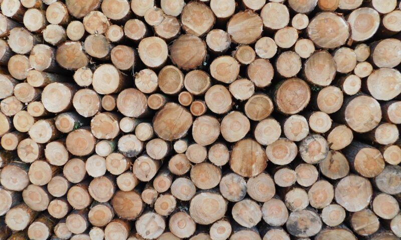 Le label « Bois de France » : garantie de qualité et de provenance