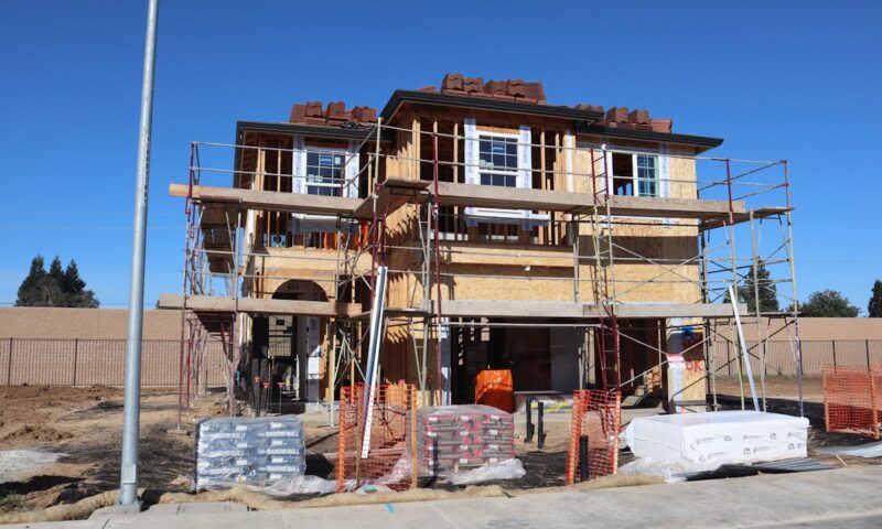 Protéger une construction neuve contre les termites : les obligations légales