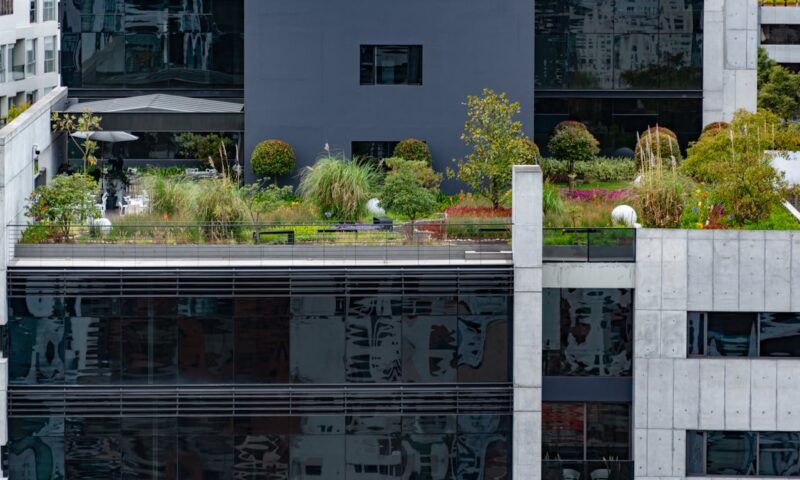 La surcharge pondérale d&rsquo;une toiture végétalisée gorgée d&rsquo;eau