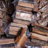 Bois de chauffage : quelles essences offrent le meilleur rendement ?