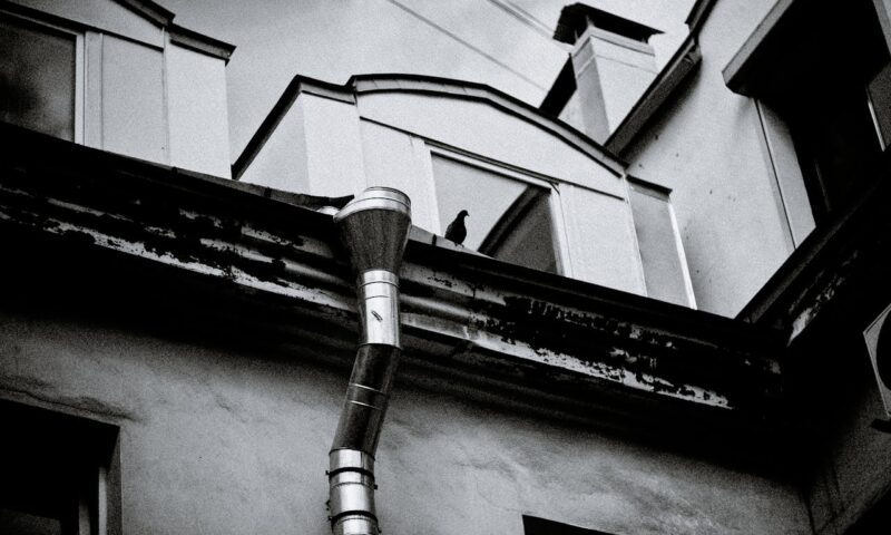 Zinguerie et gouttière : Naissance entonnoir pour gros débits