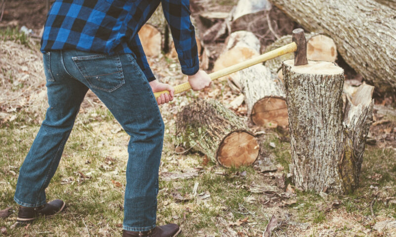 Dessouchage d’arbre : dans quels cas faut-il retirer une souche du jardin ?