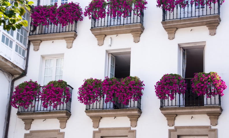 L&rsquo;incroyable transformation de mon balcon parisien en oasis fleurie