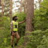 Expert forestier : rôle, services et avantages